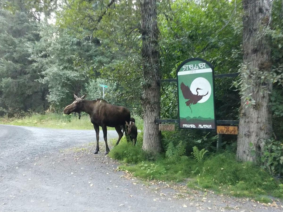 Steller Inn Сюърд Екстериор снимка